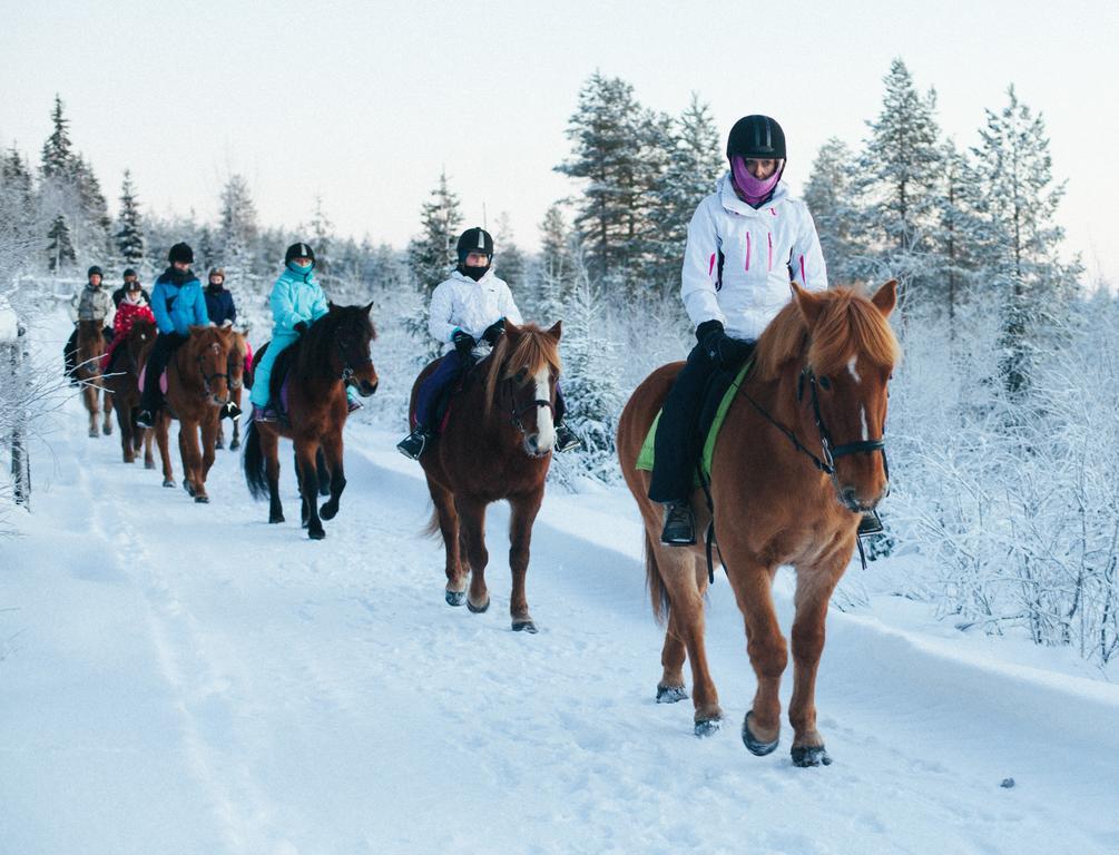 Petaejaekylae Villa Kuusamo Ngoại thất bức ảnh